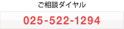 0255221294